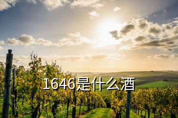 1646是什么酒