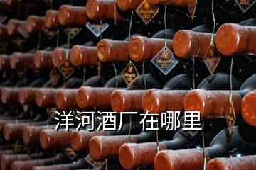 洋河酒廠在哪里