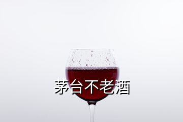 茅臺(tái)不老酒