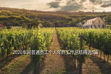 2020車間普通員工個人年終工作總結(jié)精選5篇
