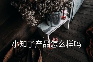 小知了產品怎么樣嗎