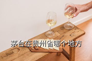 茅臺在貴州省哪個地方