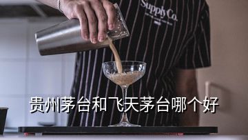 貴州茅臺和飛天茅臺哪個好