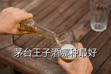 茅臺(tái)王子酒哪種最好