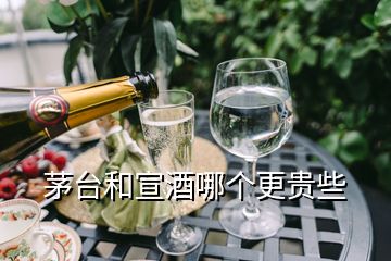 茅臺和宣酒哪個更貴些