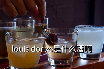 louis dor xo是什么酒啊