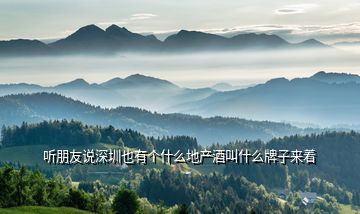 聽朋友說(shuō)深圳也有個(gè)什么地產(chǎn)酒叫什么牌子來(lái)著