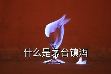 什么是茅臺鎮(zhèn)酒