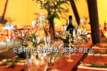 安徽有幾個(gè)苦蕎啤酒廠家哪個(gè)是正品