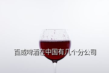 百威啤酒在中國有幾個分公司