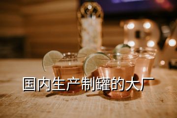 國內(nèi)生產(chǎn)制罐的大廠