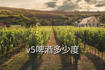 v5啤酒多少度