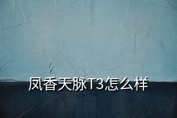 鳳香天脈T3怎么樣