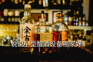 說說小型釀酒設(shè)備哪家好