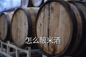 怎么釀米酒