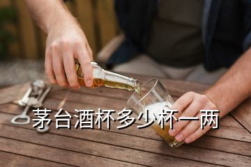 茅臺酒杯多少杯一兩