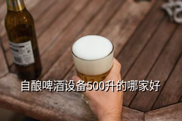 自釀啤酒設(shè)備500升的哪家好