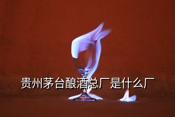 貴州茅臺(tái)釀酒總廠是什么廠