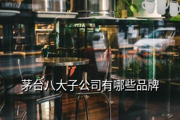 茅臺(tái)八大子公司有哪些品牌