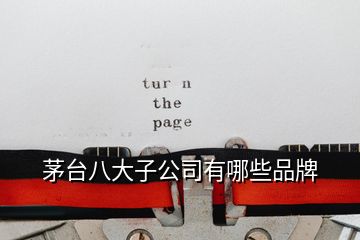 茅臺(tái)八大子公司有哪些品牌