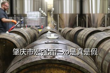 肇慶市宏強酒廠xo是真是假