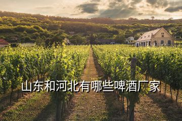 山東和河北有哪些啤酒廠家