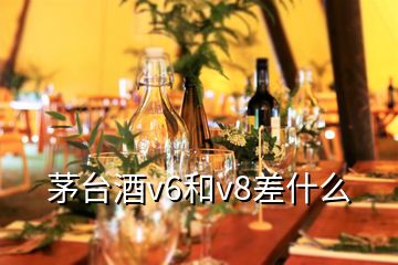 茅臺(tái)酒v6和v8差什么