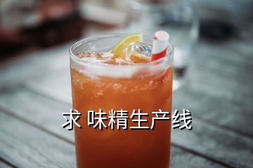 求 味精生產(chǎn)線(xiàn)