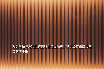 案例青島啤酒集團的信息化建設(shè)簡述計算機硬件組成和各自的性能指