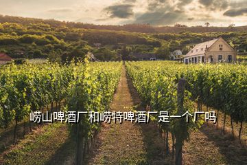 嶗山啤酒廠和嶗特啤酒廠是一個(gè)廠嗎