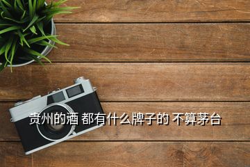 貴州的酒 都有什么牌子的 不算茅臺(tái)