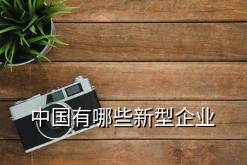 中國有哪些新型企業(yè)