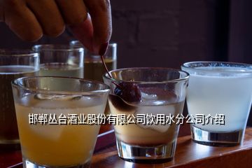 邯鄲叢臺(tái)酒業(yè)股份有限公司飲用水分公司介紹