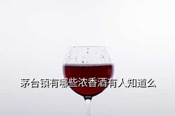 茅臺(tái)鎮(zhèn)有哪些濃香酒有人知道么