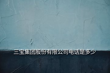 三寶集團(tuán)股份有限公司電話是多少