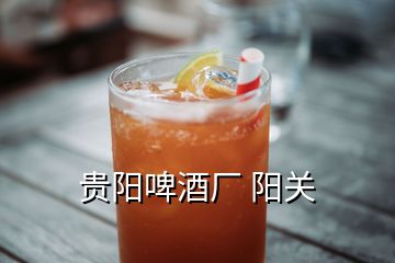 貴陽(yáng)啤酒廠 陽(yáng)關(guān)