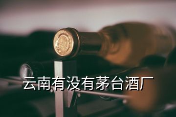 云南有沒有茅臺(tái)酒廠