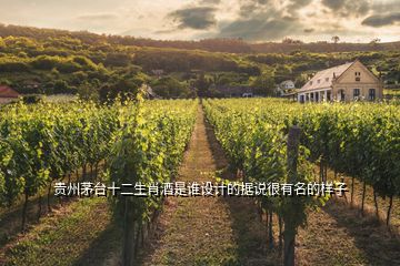 貴州茅臺(tái)十二生肖酒是誰(shuí)設(shè)計(jì)的據(jù)說(shuō)很有名的樣子