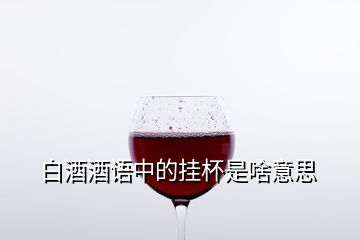 白酒酒語(yǔ)中的掛杯是啥意思