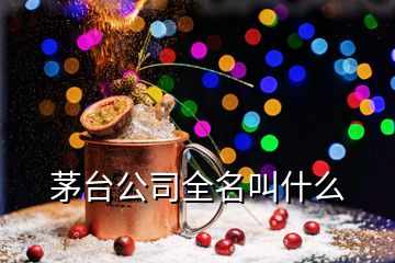 茅臺公司全名叫什么