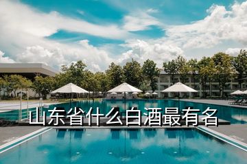 山東省什么白酒最有名