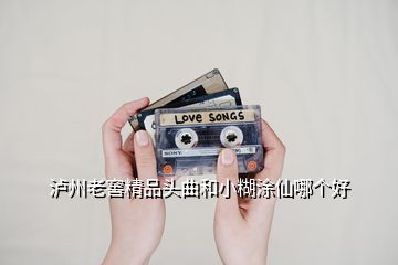 瀘州老窖精品頭曲和小糊涂仙哪個(gè)好