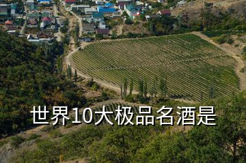 世界10大極品名酒是