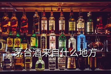 茅臺(tái)酒來自什么地方