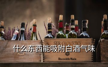 什么東西能吸附白酒氣味