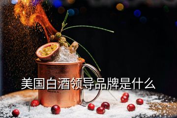 美國(guó)白酒領(lǐng)導(dǎo)品牌是什么
