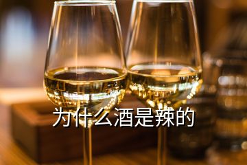 為什么酒是辣的