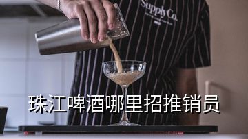 珠江啤酒哪里招推銷(xiāo)員