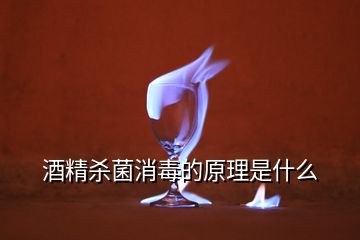 酒精殺菌消毒的原理是什么