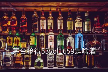 茅臺搶得53vol1659是啥酒